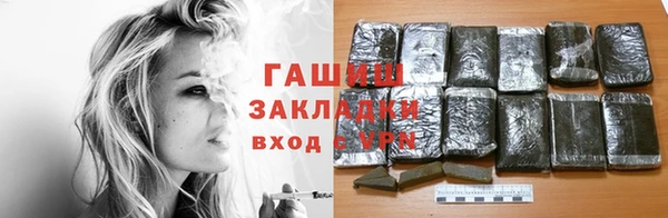 хмурый Алексин