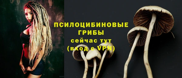 кокаин колумбия Алзамай