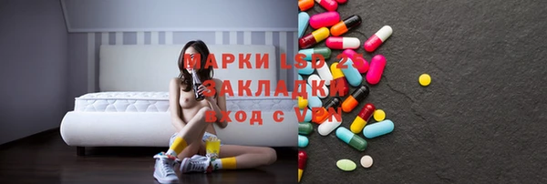 хмурый Алексин
