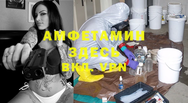 хмурый Алексин