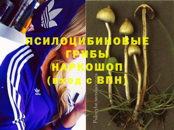 кокаин колумбия Алзамай