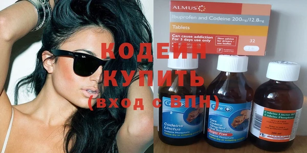 хмурый Алексин