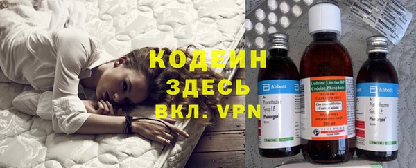 хмурый Алексин