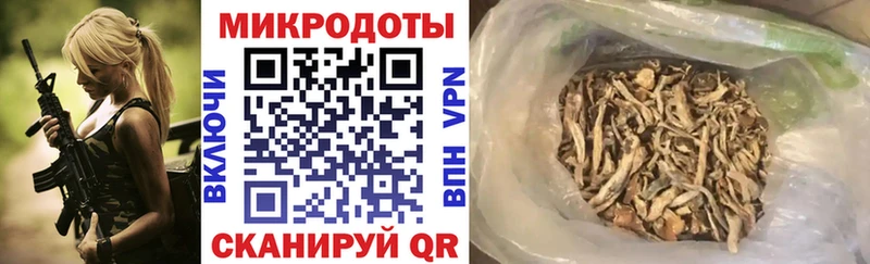 Псилоцибиновые грибы Magic Shrooms  Петровск 