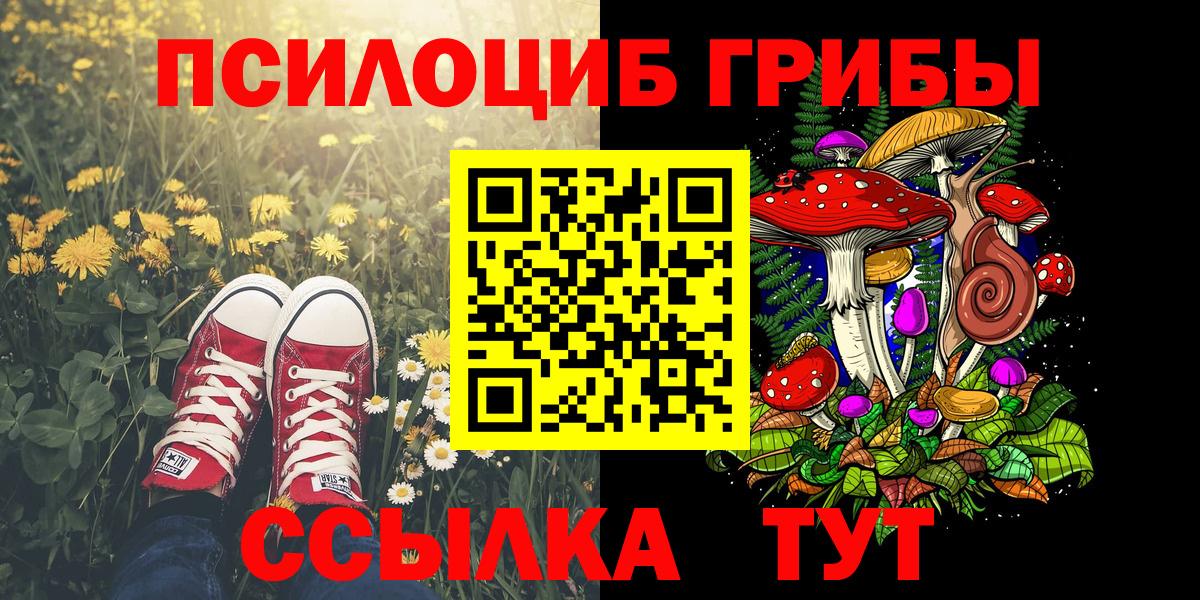 Петровск  Псилоцибиновые грибы Psilocybine cubensis  Вход с VPN 