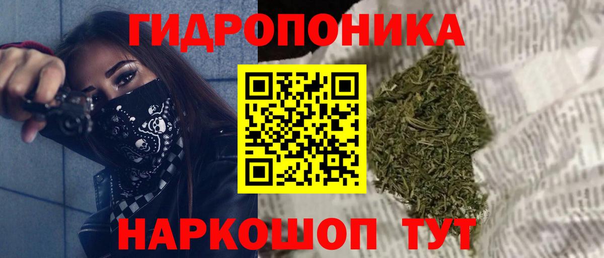 Конопля план  Каннабис OG Kush  Каннабис AK-47  Петровск  Шишки марихуана LSD WEED  Вход с VPN 
